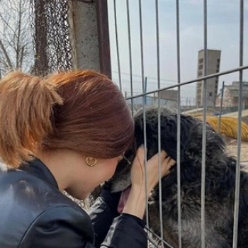 Braun Vanessa Jasmin